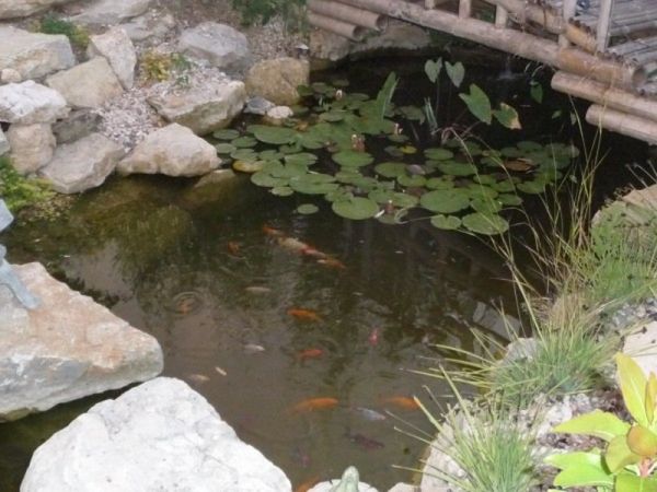 bassin sur mazauge dan le haut var prés de brignole