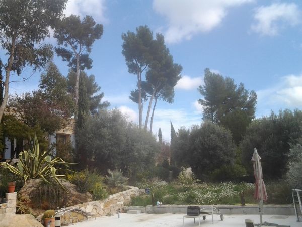 arrosage automatique sur un jardin de Bandol pour un gazon en plaques